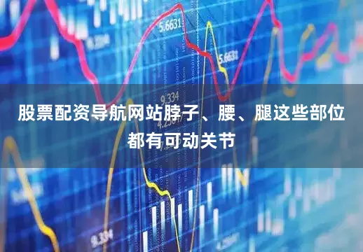 股票配资导航网站脖子、腰、腿这些部位都有可动关节